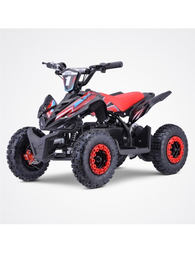 Pocket Quad 36V 800W DIAMON FLIP 800W...