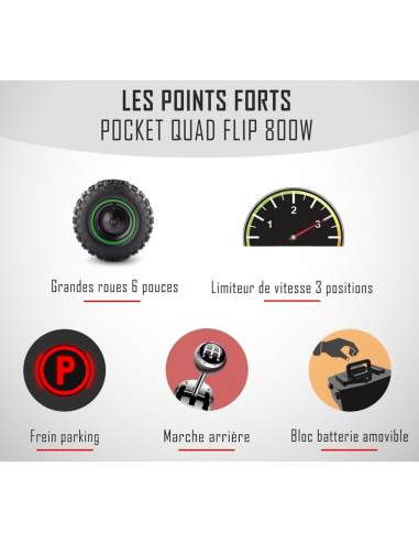 Pocket Quad 36V 800W DIAMON FLIP 800W...