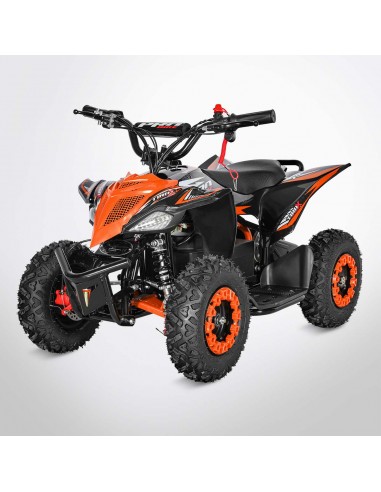 Pocket Quad 36V 800W PROBIKE TYRAX...