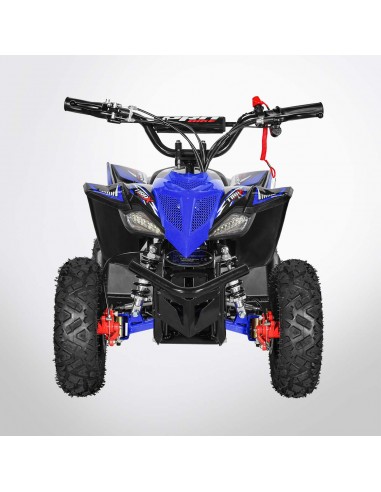 Pocket Quad 36V 800W PROBIKE TYRAX...