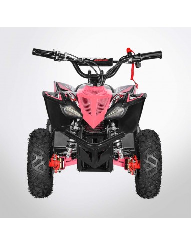 Pocket Quad 36V 800W PROBIKE TYRAX...