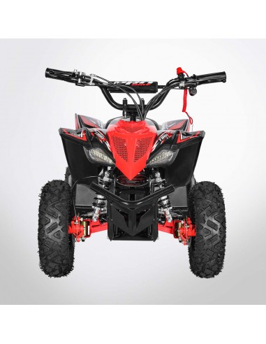 Pocket Quad 36V 800W PROBIKE TYRAX...