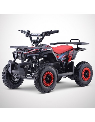 Pocket Quad 36V 800W DIAMON RINO 800W...