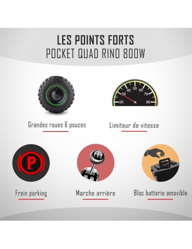 Pocket Quad 36V 800W DIAMON RINO 800W...