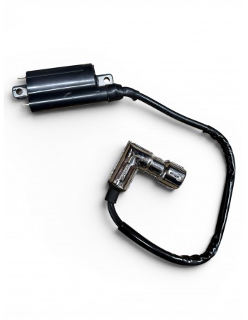 Bobine Allumage Quad -...