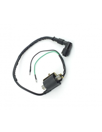 Bobine Allumage Quad / Dirt... 2
